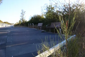 2025-06-21 Bartons Park - IMG_2571_compressed_q50.webp